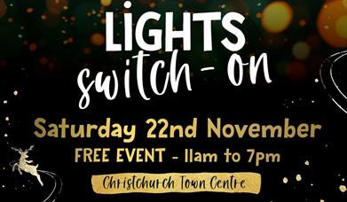 poster advertising Christchurch Christmas Lights Switch On