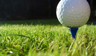 Macro image of golf ball on a blue tee.