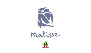 matisse beauty clinic logo