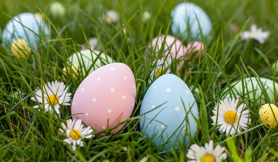 Easter Eggs in Grass