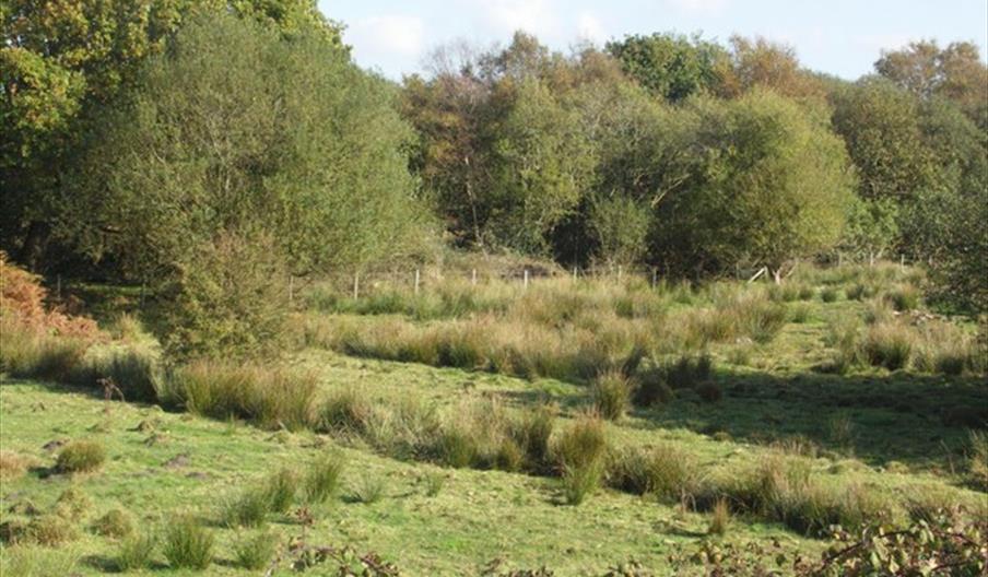 Purewell Meadows Photo © Mike Smith (cc-by-sa/2.0)