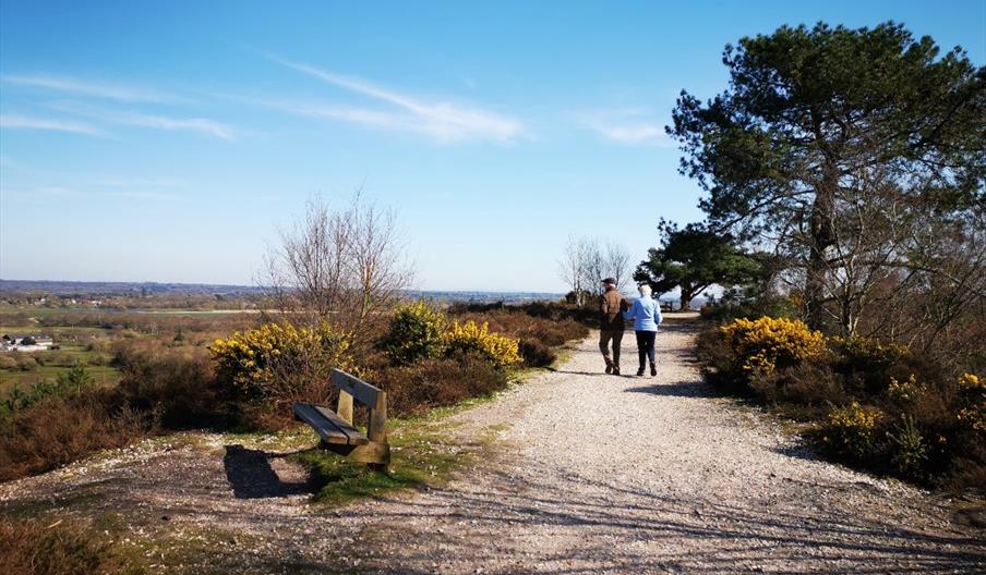 A trail at the peak of the Hill with a great view of Christchurch.