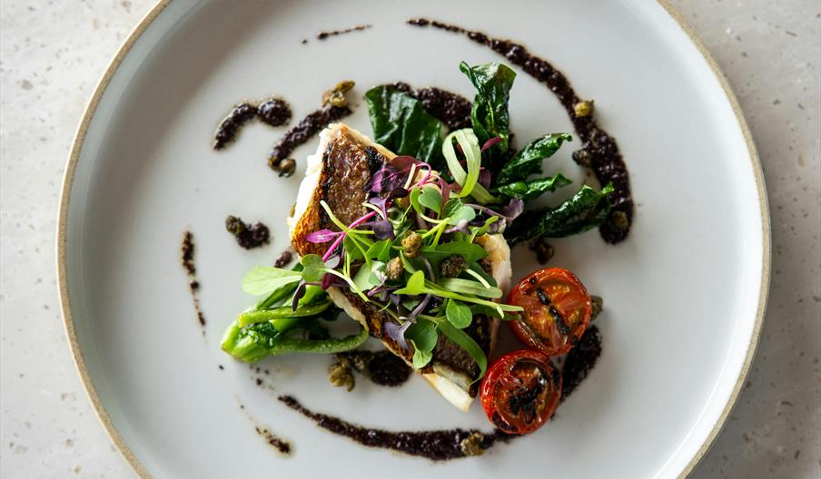 Fine dining plate of food