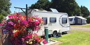 caravan on the grass on a beautiful sunny day Meadowbank Holidays