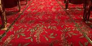The new carpet in the theatre