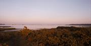 Wide shot of Christchurch Harbour from Stanpit Marsh, Mudeford Beach Huts lie on the horizon.