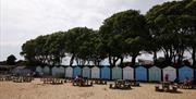 Beach huts at Avon Beach with trees on the hill behind.