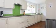 Large white kitchen with a hint of green