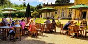 Fantastic view of Highcliffe Castle and gardens