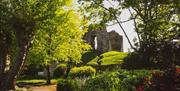 The Castle Ruins photographed from a far through the trees on a sunny spring day.