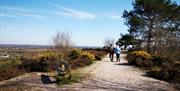 A trail at the peak of the Hill with a great view of Christchurch.