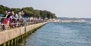 A busy day at the Quay with people looking over the rails into the sea for wildlife.